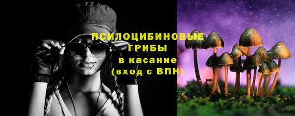 PSILOCYBIN Богданович